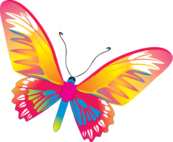 Butterfly - Butterfly Vector (600x492)