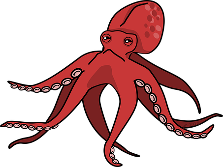 Cartoon Octopus Pink Squid Octopus Octopus - Octopus Clipart (453x340)