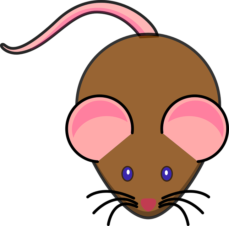 Mice Cartoon Cliparts - Animated Picture Of A Mouse (729x720)