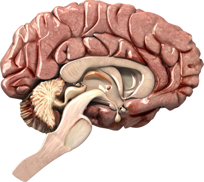 No - - 3d Modeling (701x625)