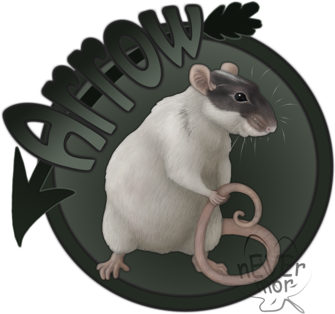 Arrow Rat By Never-mor - Rat (764x689)