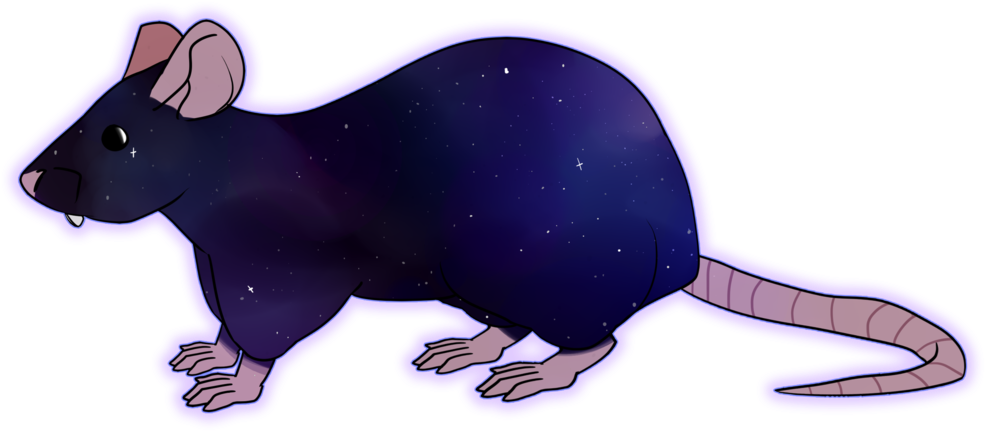 Galaxy Rat By Toodlenoodle - Drawing (1024x724)
