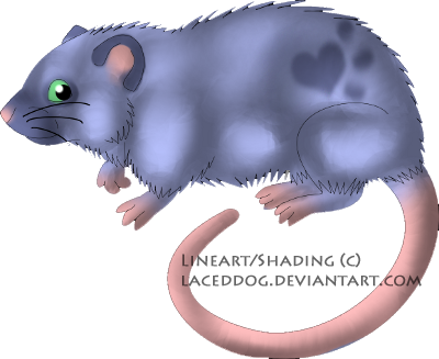 Appernace - Image - Star Nosed Mole (400x327)