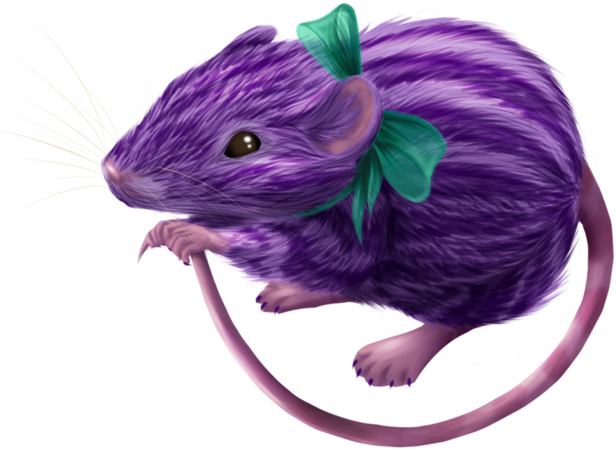 Zebra Rat Rodent Mouse Isolated Stock Photo Ilration - Mouse (894x894)