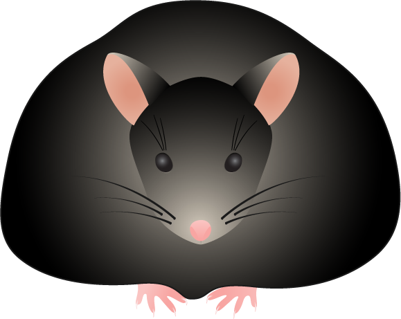 Clip Art - Fat Mouse Clip Art (579x461)