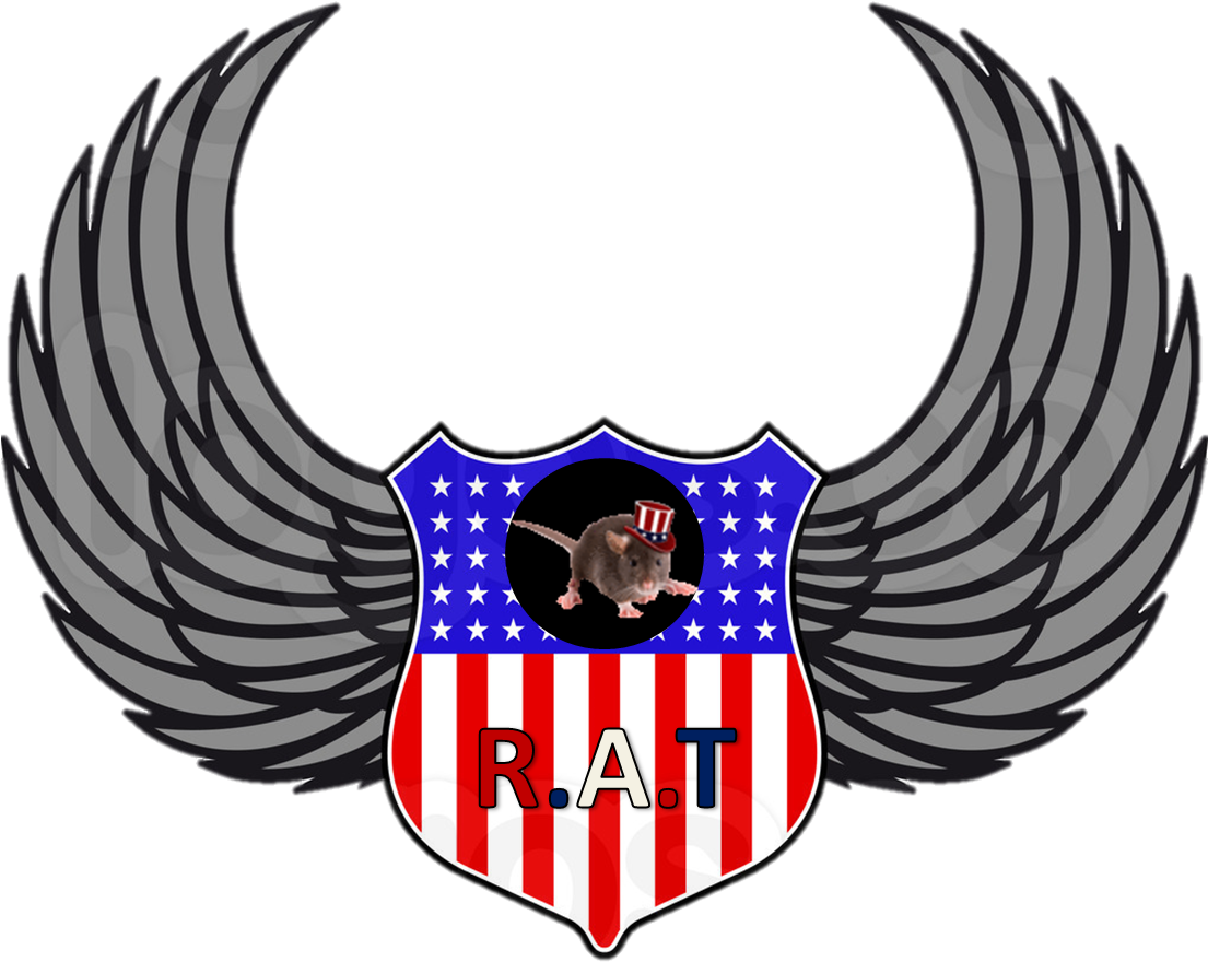 Rat Second Icon - Usa Shield (1104x1125)