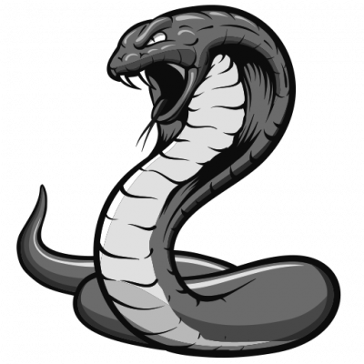 Kim Jong Un Broadcasts 'master Chef'-style Cooking - Illustration (400x400)