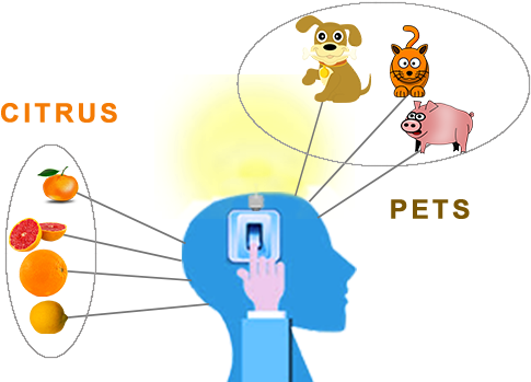 Become A Memory Wizard - Linguacioustm Parents' Favorite French Animal Flashcard (500x350)