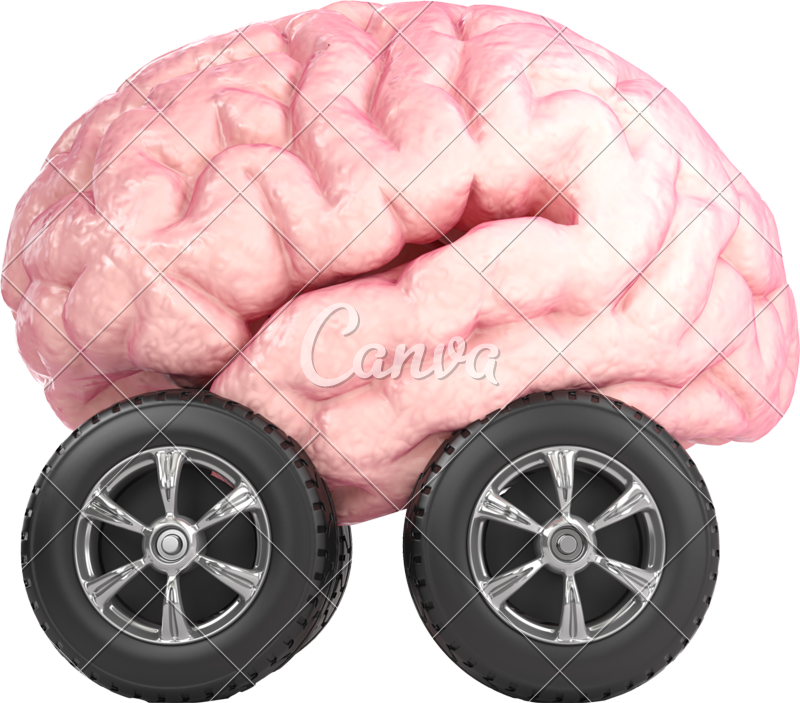 3d Brain On Wheels - Brain On Wheels (800x703)