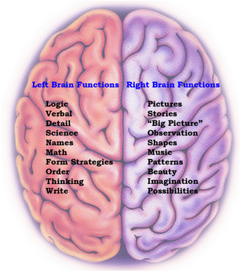 Niche Careers, Whole Brain Ads, Getting Cozier - Left And Right Brain (380x429)