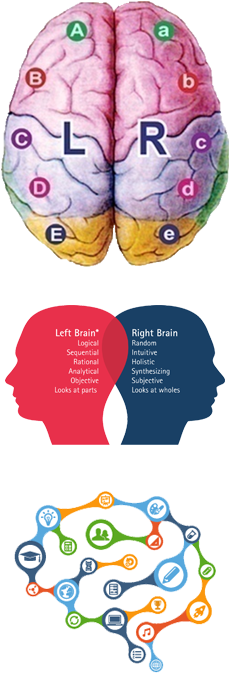 Right Brain - ! 5'x7'area Rug (235x751)