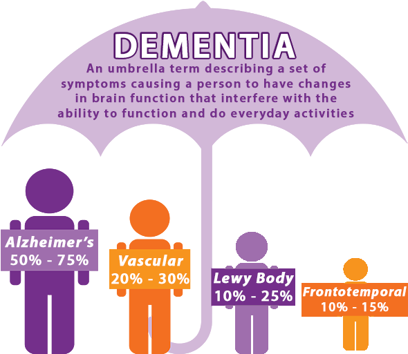 Courtesy Of Alzhiemer's - Difference Between Dementia And Alzheimer's (600x512)