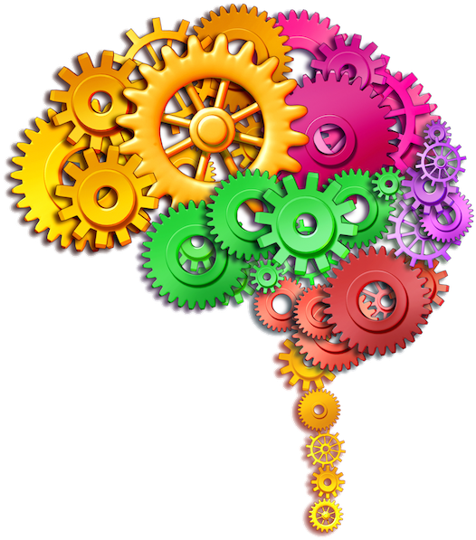 Continuous Issues In Numerical Cognition: How Many (600x600)