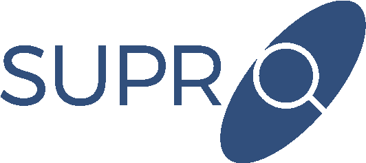 When I Started Systematically Measuring Website Usability - Salesstar (541x236)