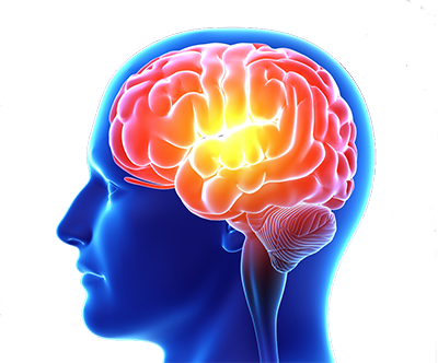 Memory & Concentration - Memory (400x332)