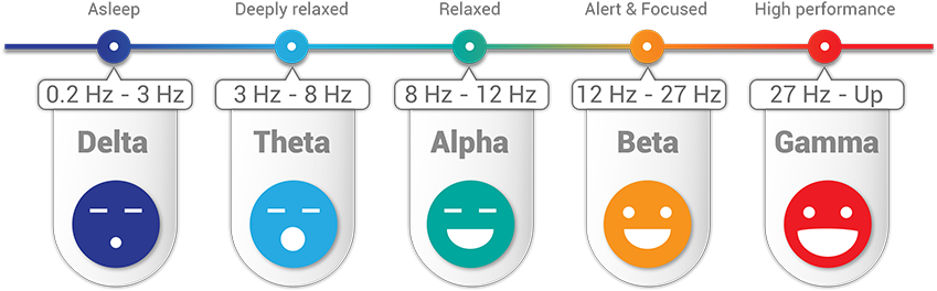 Registering At 27 Hz, Gamma Is Connected To Language - Gamma Brain Waves (950x280)