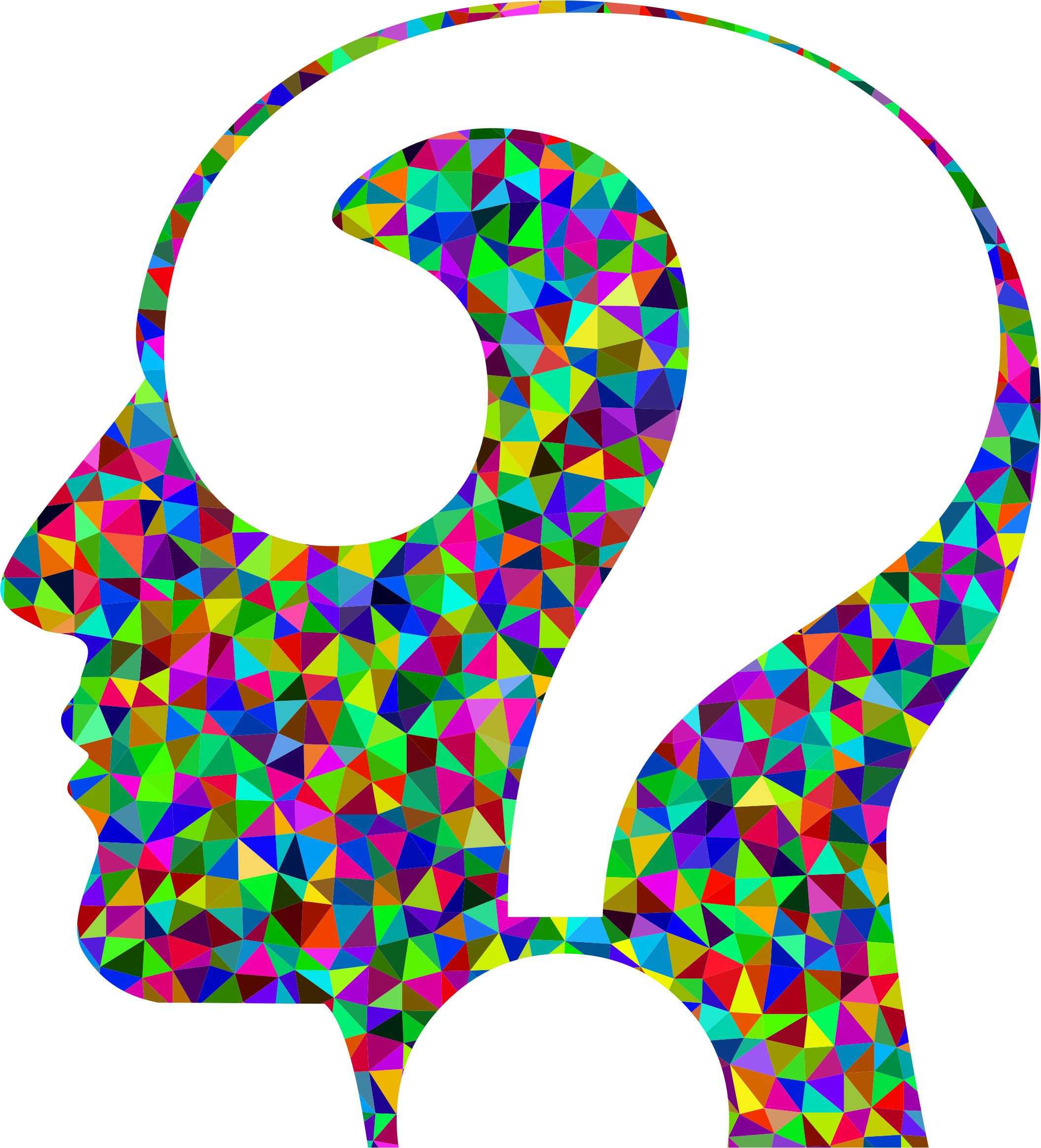 4118531439 Head Silhouette - Question Head (2112x2330)