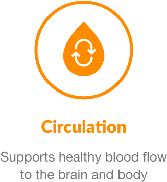 This Bundle Not Only Makes Your Monthly Supplement - Circle (432x454)