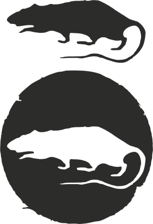 Pearl Jam Rats - Pearl Jam Rats (307x450)