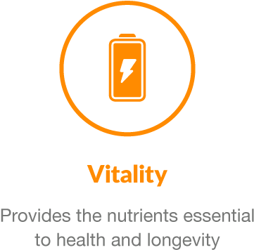 This Product Is Specialized, Brain-directed Nutrition - Circle (432x454)