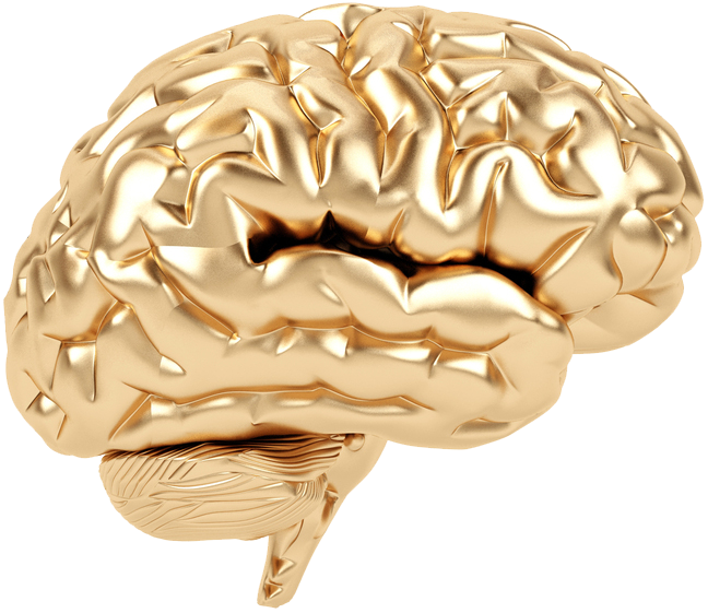 The Psychology Of Trading - Golden Brain Award (648x561)