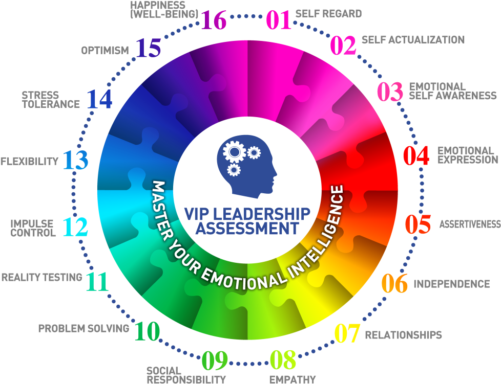 Drug Improve Brain Function - Resilient Leader Workbook: Strengthen Your Emotional (1024x903)