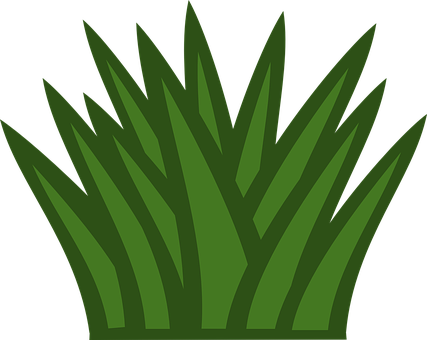 Bush Foliage Gardening Plants Scrub Grass - Black And White Grass Clipart (427x340)