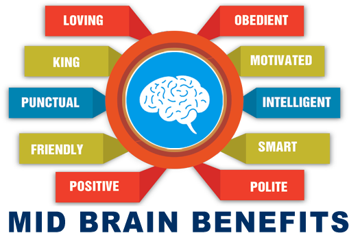 Computer Calculation Speed - Benefits Of Mid Brain Activation (531x399)