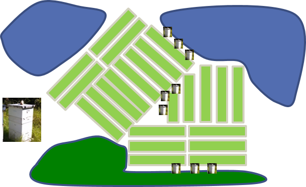 Each Marsh Was Classified As “high” Or “low” Woodland - Each Marsh Was Classified As “high” Or “low” Woodland (617x377)