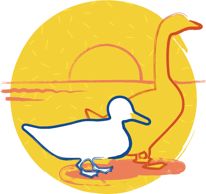 Join The Marsh Family - Duck (800x800)