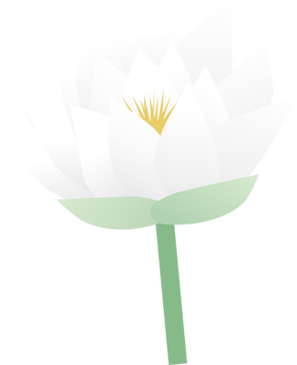 Ian Symbol Nymphaea Odorata Flower - Water Lily (326x400)