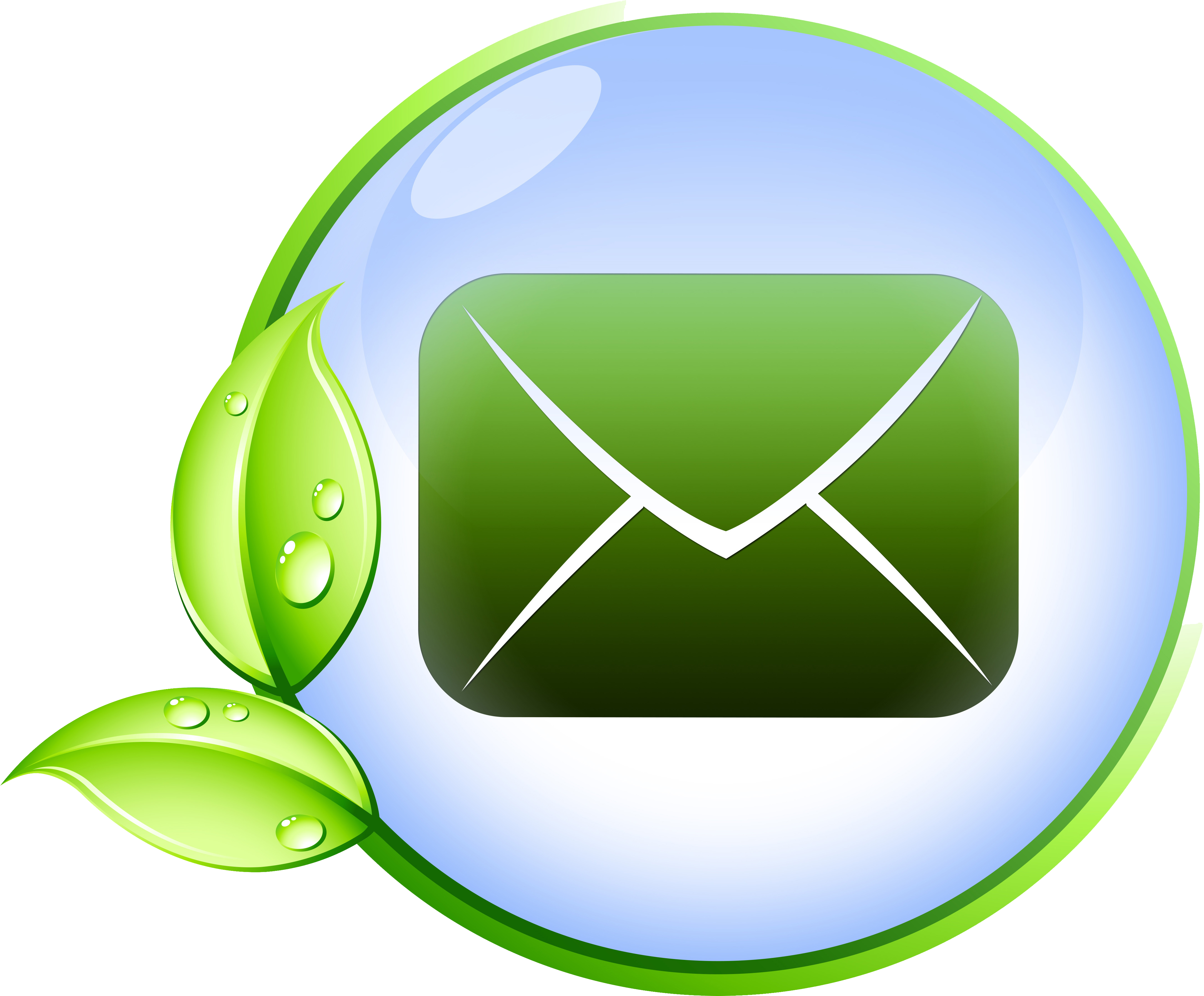 Have A Question About A Species Here In Our Park Looking - Database (4333x3583)