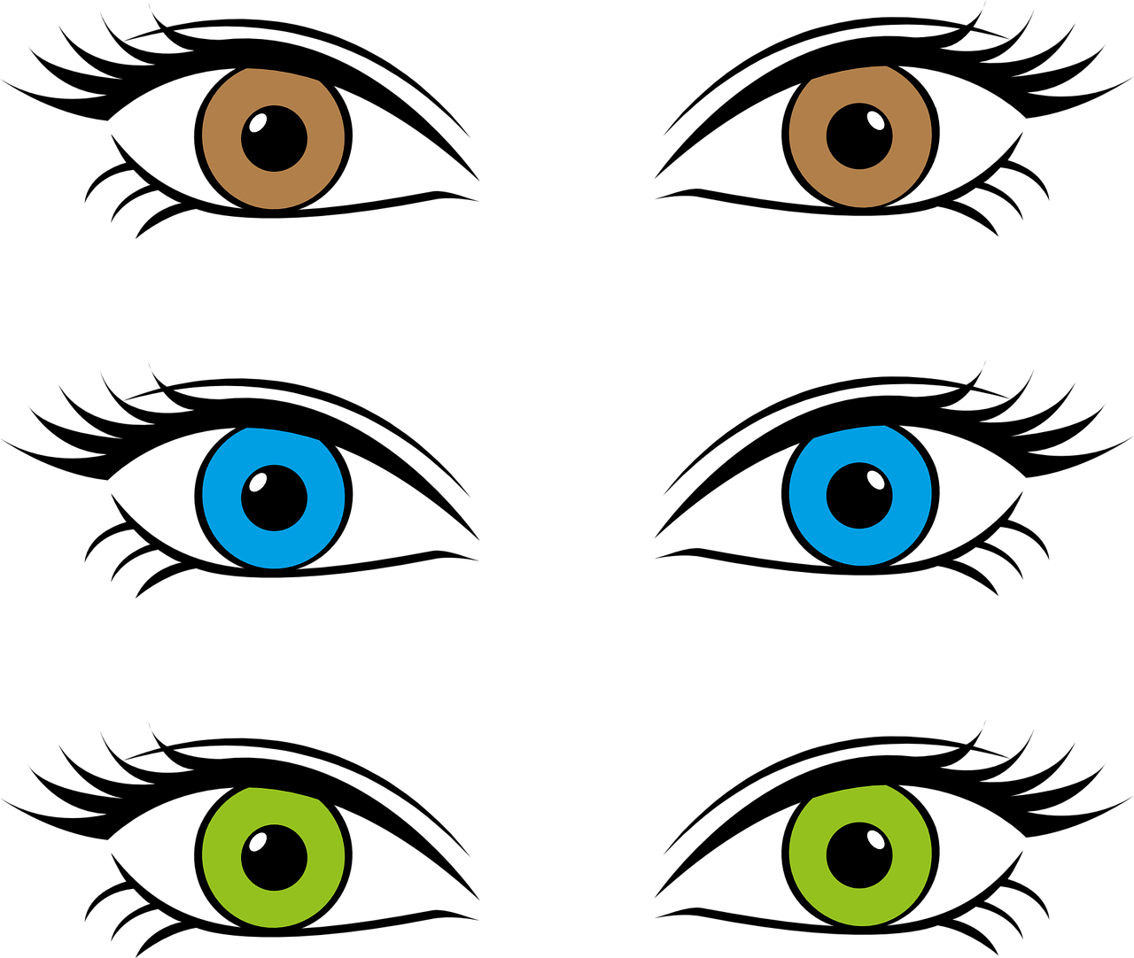 Eyes Eye Color Iris Brown Blue Png Image - Three Eye Colors (1280x1082)