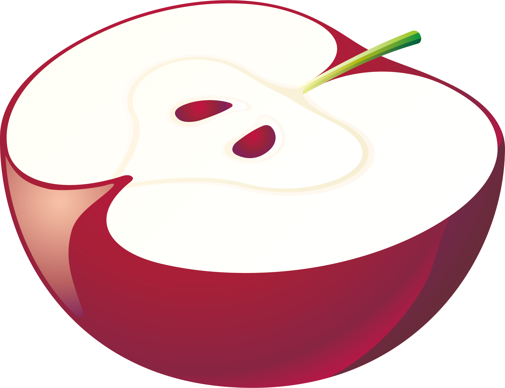 Apple Euclidean Vector Computer File - Apple Euclidean Vector Computer File (1619x1244)