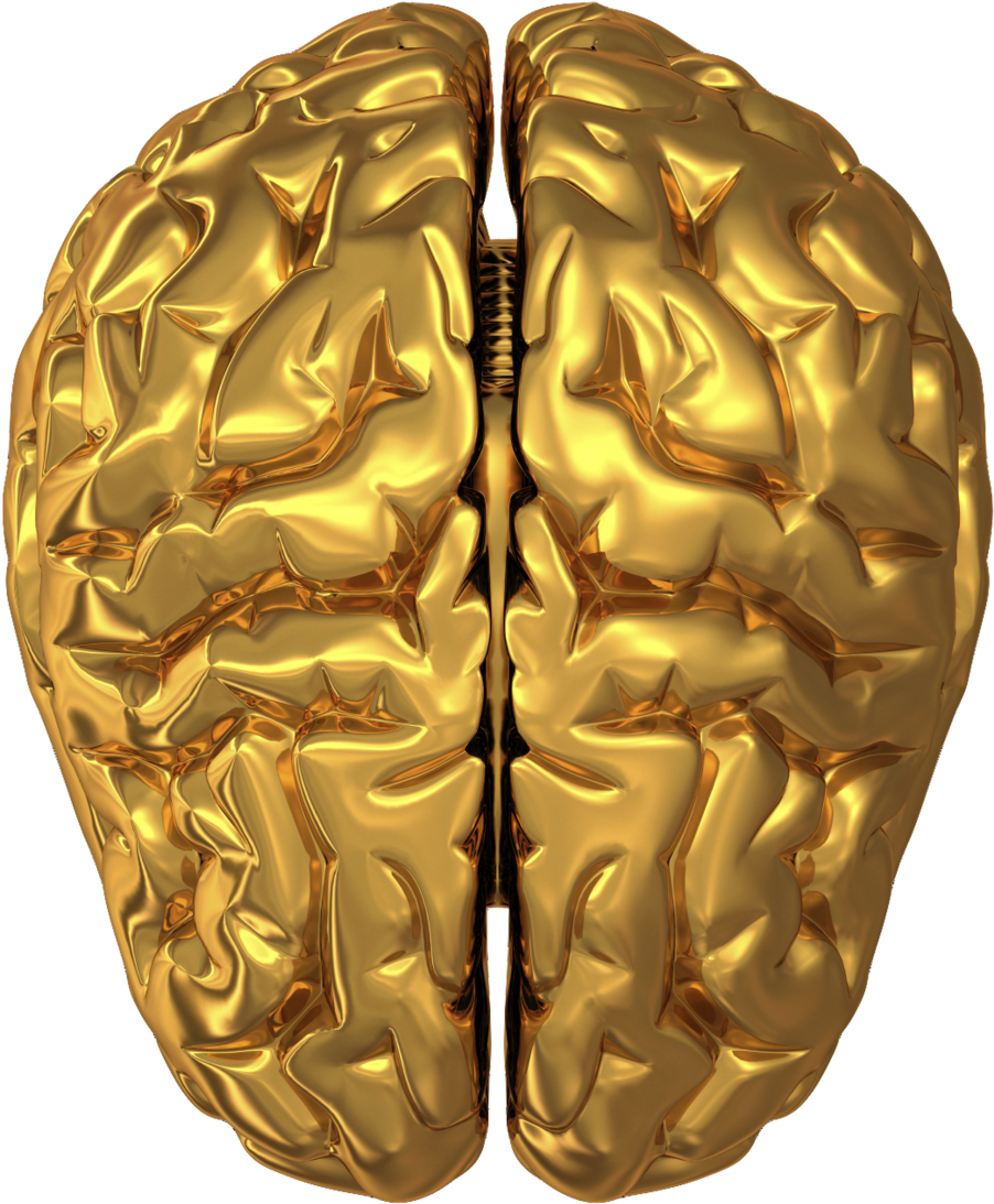 Psychology - - Your Brain Has A Bent (not A Dent!) [book] (1199x1200)
