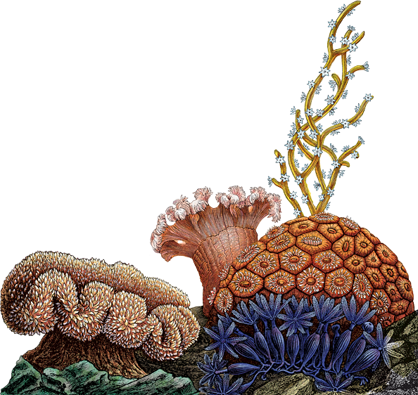 Designing For Behavior Change - Designing For Behavior Change (594x562)