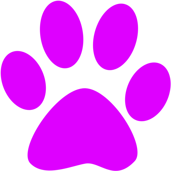 Mz Josey Pink Paw - Golden Retriever Paw Print (575x600)