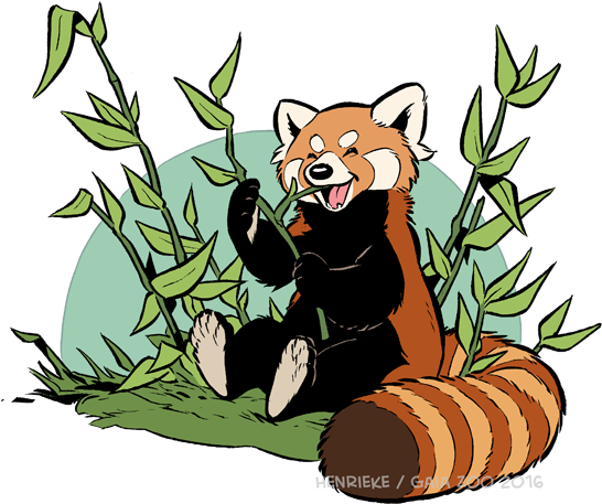 Red Panda Clipart - Red Panda Exhibit (550x465)