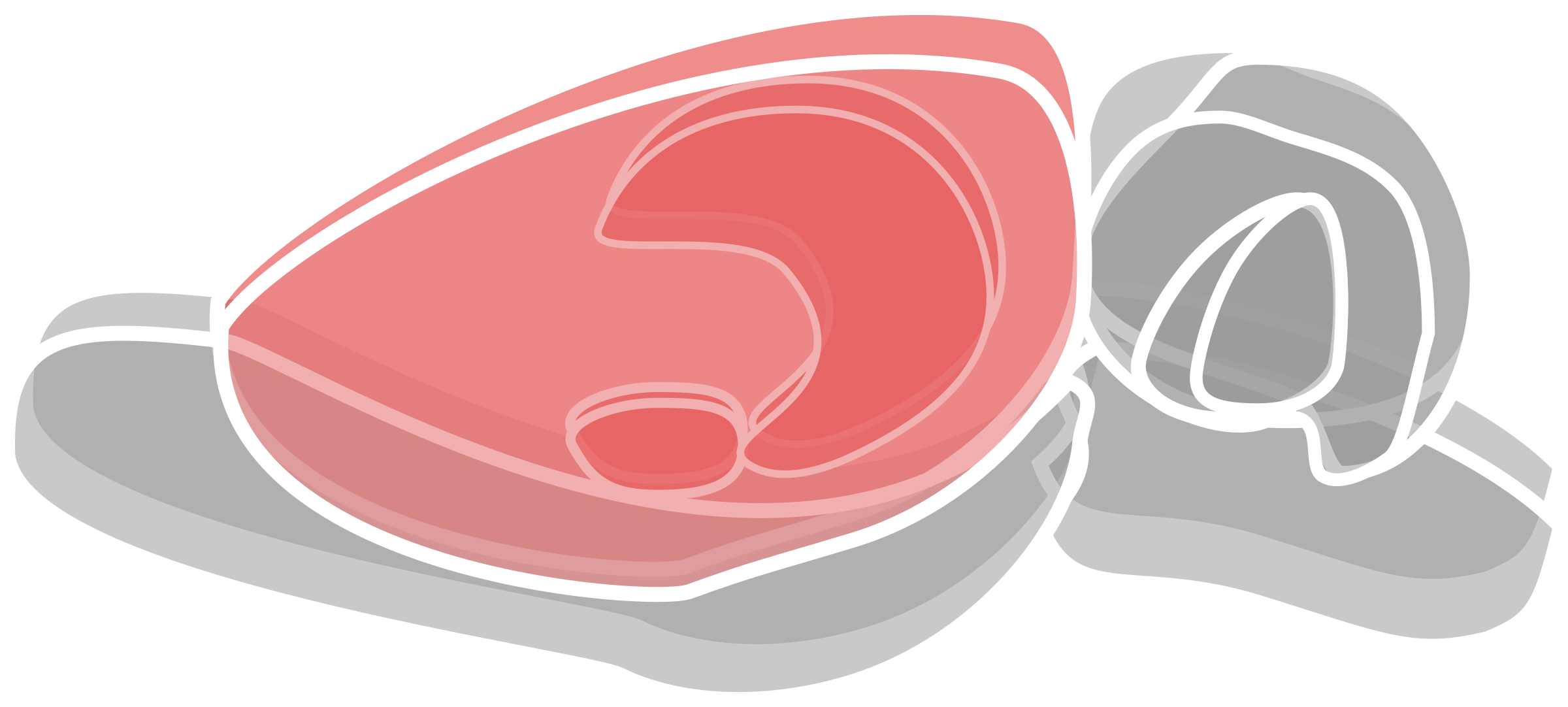 This Free Icons Png Design Of Rat Brain 1 - Rat Brain Png (2400x1082)