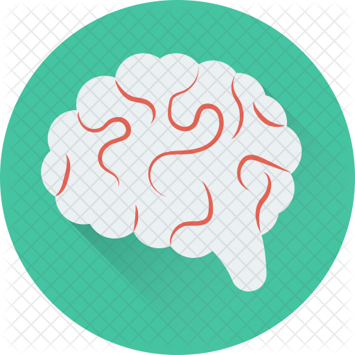 Human Brain Icon - Brain (512x512)