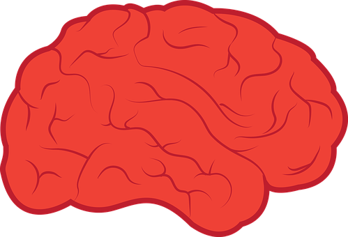 Brain Neurology Mind Anatomy Medicine Psyc - Dementia (1280x872)
