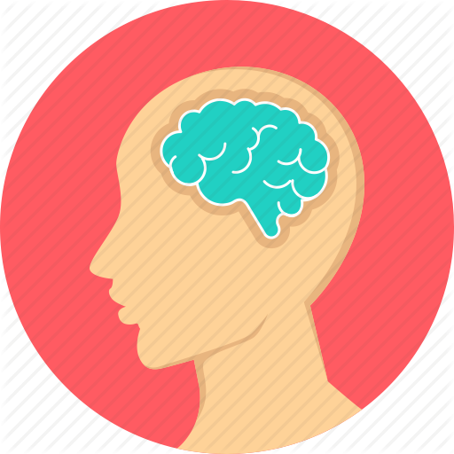 2015 International Conference On Brain Informatics - Nervous System Icon Png (512x512)