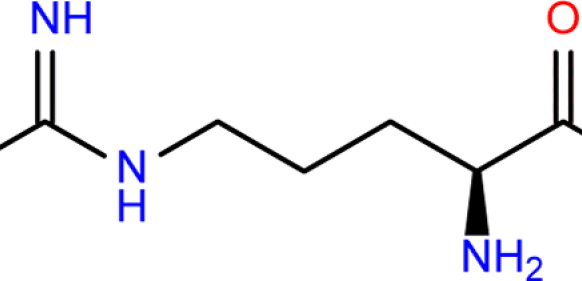 Essential Health Benefits Of L-arginine - Leucine (582x281)