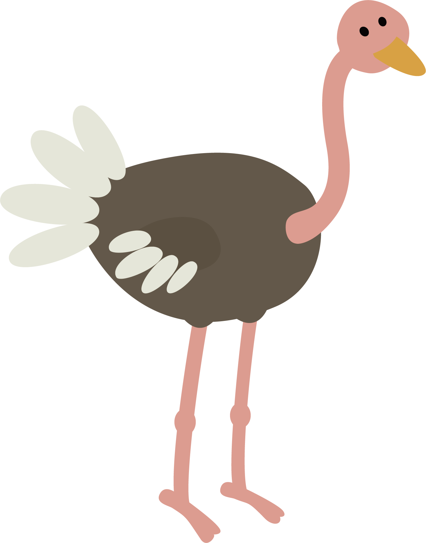 Common Ostrich Bird Animal Illustration - Common Ostrich Bird Animal Illustration (1452x1851)
