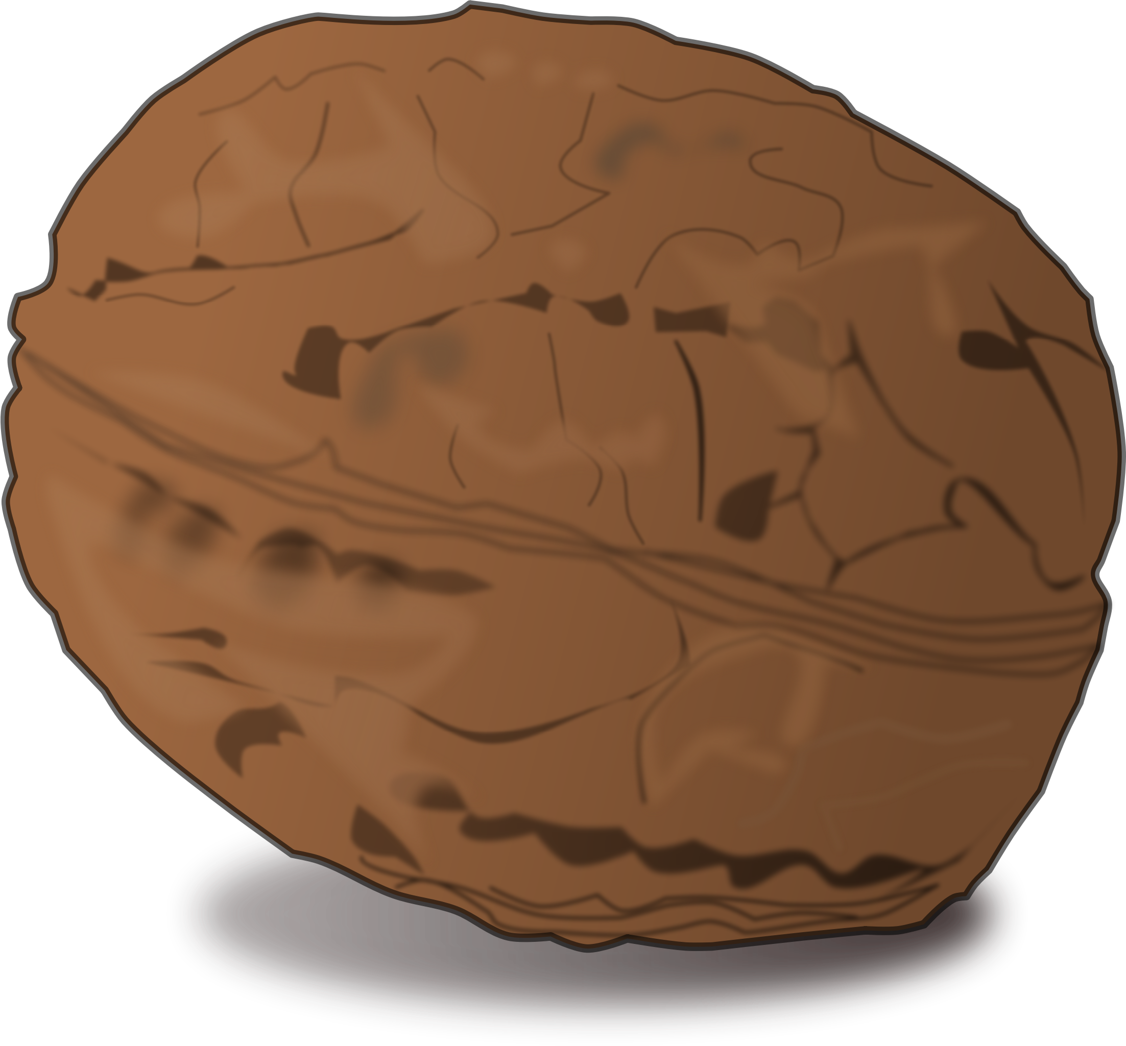 Walnut - Walnut Png Clipart (2205x2049)