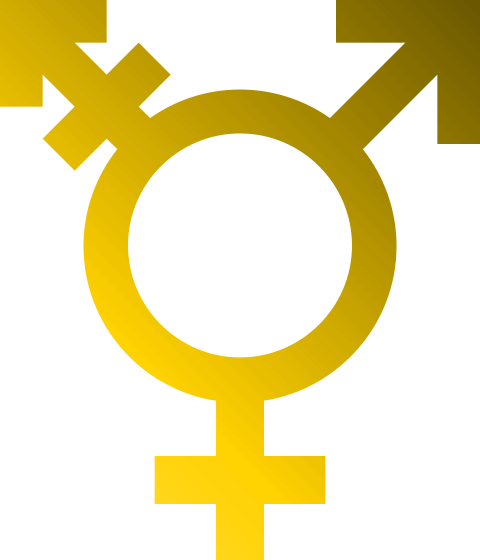 The Most Commonly, Universally Accepted Transgender - Transgender Symbol (480x560)