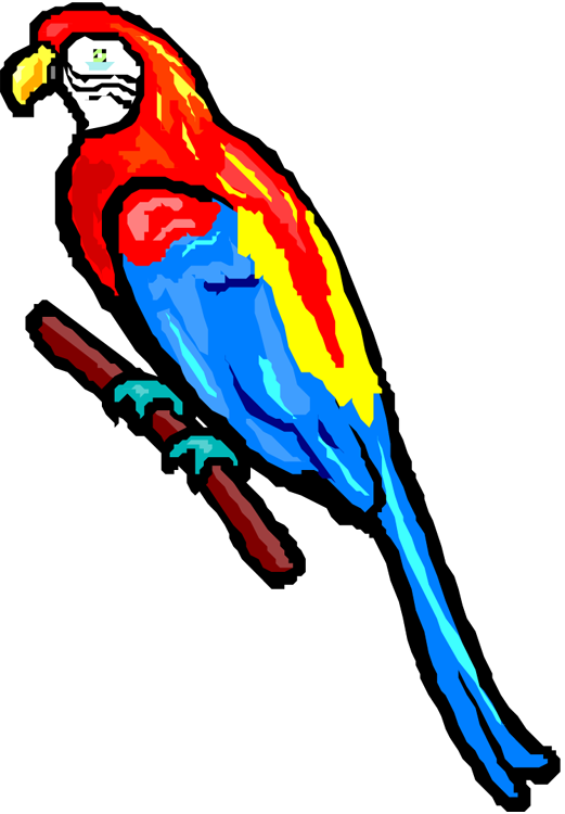 Join The Jimmy Buffett Parking Lot Tailgate Party Come - Macaw (521x750)