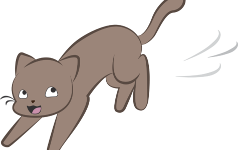 The Hidden World Of Csulb's Shrinking Cat Colonies - Cartoon (475x300)
