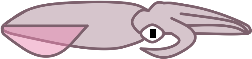 European Squid (1000x300)