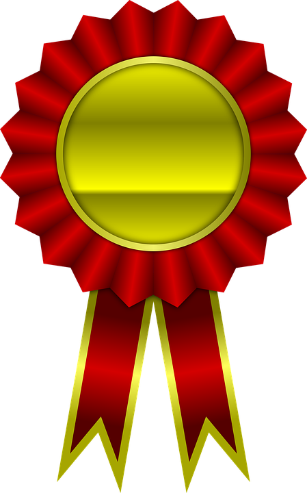 Award, Red, Ribbon, Winner, Achievement - Cinta De Premio Png (449x720)